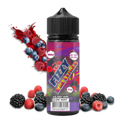 FIZZY WILD BERRIES 100ML
